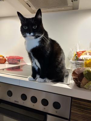 Click on the image to see the full version.