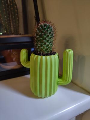 Click on the image to see the full version.