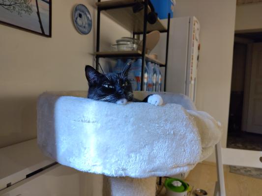 Click on the image to see the full version.